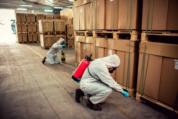 Best Affordable Pest Control Services  in Coachella, CA