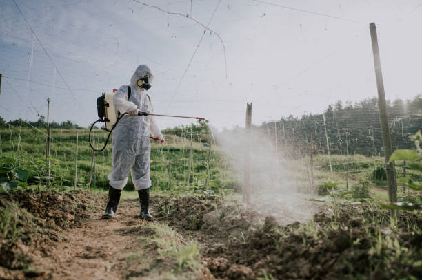 Best Mosquito Control Services  in Coachella, CA