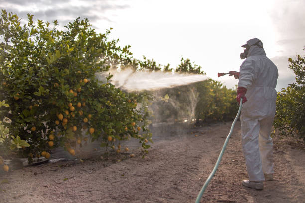  Coachella, CA Pest Control Pros