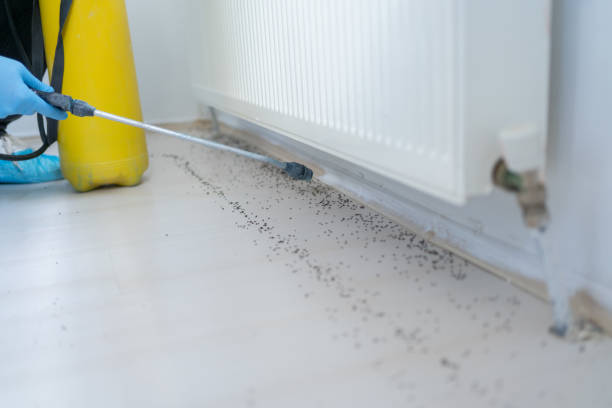 Best Wildlife Control Services  in Coachella, CA