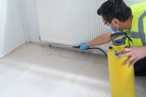 Best Pest Inspection Near Me  in Coachella, CA