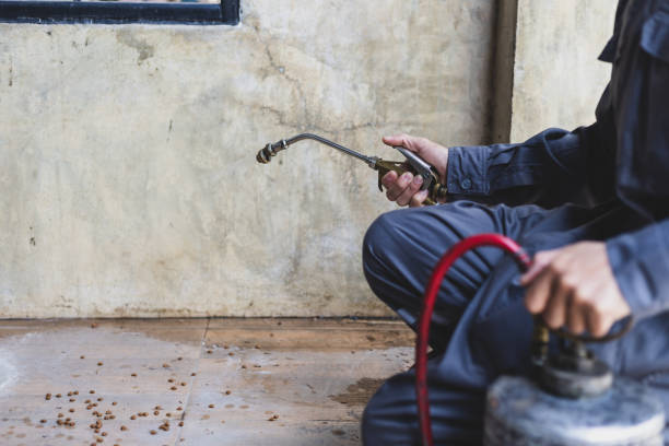 Best Wasp Removal Services  in Coachella, CA